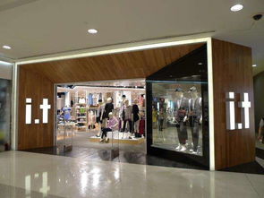 i.t集團靠中國內地市場咸魚翻身，鞋帽零售業(yè)務煥發(fā)新生