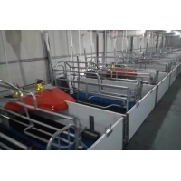 PVC中空畜牧圍板設備在現代化豬舍建設中的應用